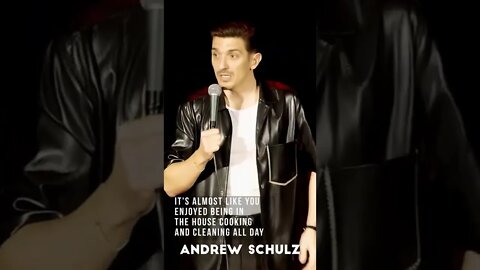 Andrew Schulz, Manipulated Metoo