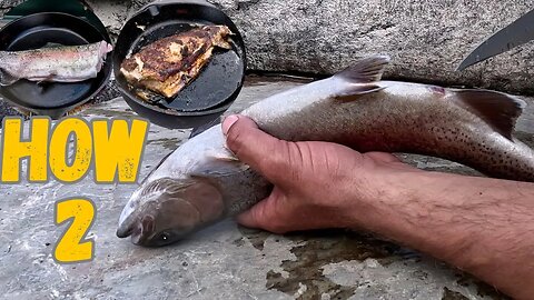 EPIC Trout Catch & Cook: From River to Plate!