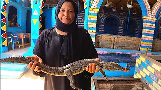 Crocodile Pets at Nubian Village