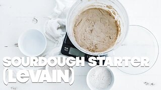 How to Make a Sourdough Starter Recipe (Levain) // FOOL PROOF PROCEDURES