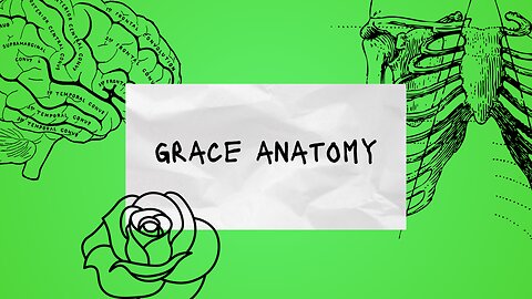 Grace Anatomy Pt. 1