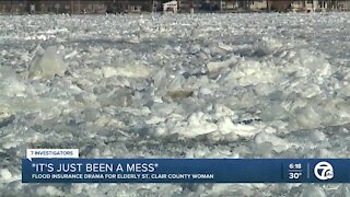 'It's just been a mess.' Flood insurance drama for elderly St. Clair Co. woman