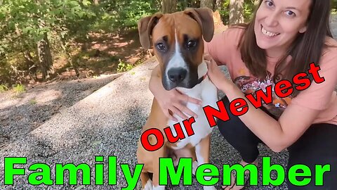 We are restarting our channel / **Meet the newest member of our family**/ Full Time RV Living