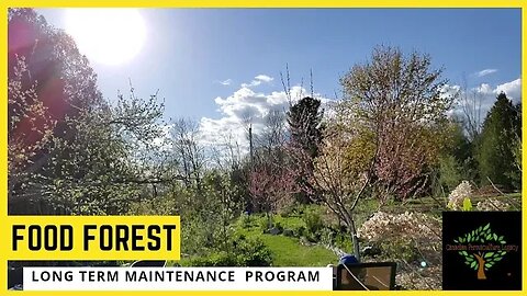 List of ongoing maintenance required for a permaculture food forest