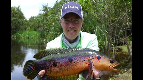 Easy Techniques to Catch Snakehead Fish