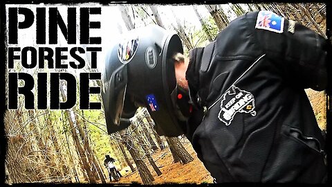 Quick Motorcycle Ride through a Pine Forest