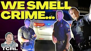 Cops Harass & Search Delivery Guy Over Smell | Traffic Stop Rights Explained