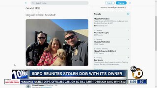 San Diego police finds stolen dog, puts suspected thief in jail