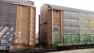 CN 5703 & GECX 4867 Engines Autoracks Train Eastbound In Sarnia