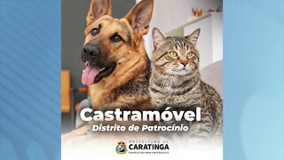 A Partir de 2ª Feira: Castramóvel vai ficar no distrito de Patrocínio para vacinar Cães e Gatos.