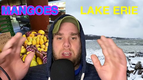 I go FRUIT SHOPPING | Talk RAW VEGAN | Frozen LAKE ERIE | VLOG