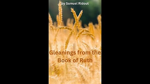 Gleanings from the Book of Ruth, by Samuel Ridout, Chapter 2 & 3