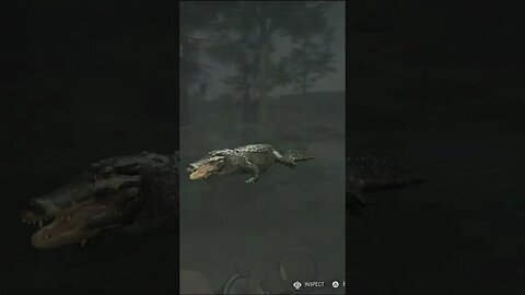 Double PIEBALD 🐊 Gators - Post Emerald Update - theHunter: Call of the Wild #shorts