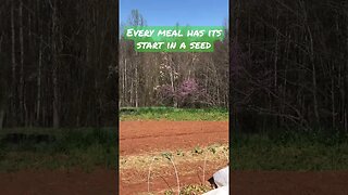 Start a seed, grow a meal #permaculture