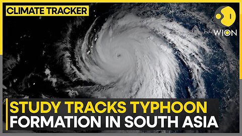 Climate change is raisin intensity of typhoon | WION Climate Tracker | VYPER