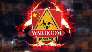 Bannon's War Room Pandemic: Ep 527 (w/ Darren Beattie)