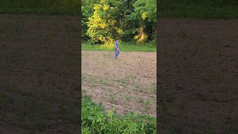 Watch my corn pop up in rows #farmlife #corn #godscountry