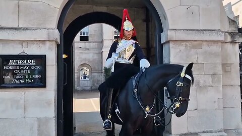 Mass clapping 👏 spooks the horse #horseguardsparade