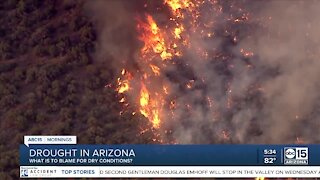 AZ national forests close as drought conditions worsen