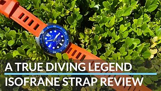 ISOFRANE Dive Watch Strap [REVIEW] Worth the Money?