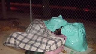 More homeless choosing to sleep on street