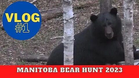 Canadian Wilderness Bear Hunting VLOG 1
