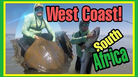 FISHING in the WEST COAST! Varkenvlei! STINGRAYS giving BIRTH! Full ZLF EPISODE!