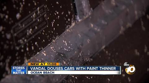 Vandal douses cars with paint thinner