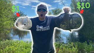 $1 Vs $10 Minnow Trap!