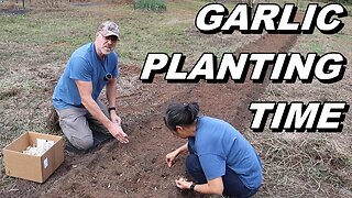 Planting Garlic But Running Late This Year