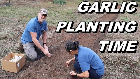 Planting Garlic But Running Late This Year