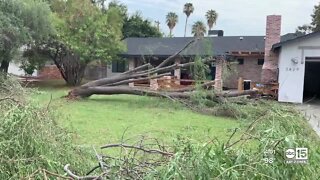 Storms cause damage across the Valley