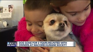 Dog gone for 3 years reunited with owners at Macomb Humane Society