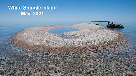 White Shingle Island, May 2021