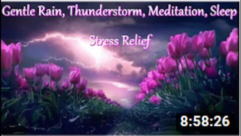 11 - Gentle Rain, Thunderstorm, Meditation, Sleep, Stress Relief - FADES TO BLACK!