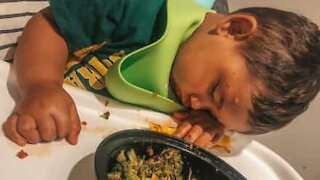 Toddler falls asleep during mealtime