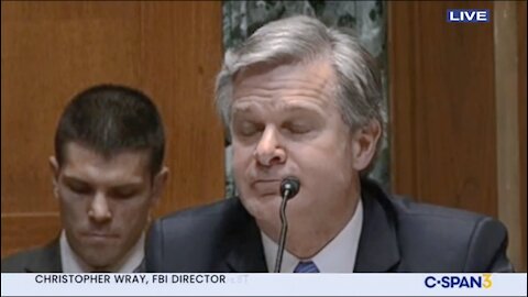 FBI director Wray testifies about January 6 and Election Fraud!