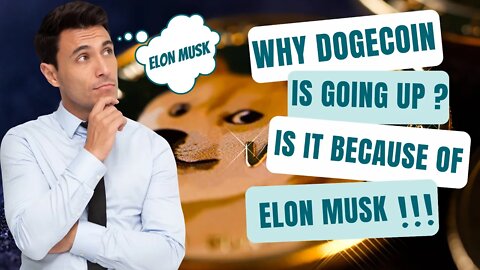 Dogecoin Could Rise by 20% in July After Tesla Investor Tweets