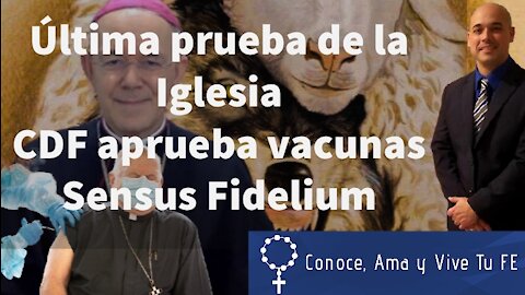 🙏 Ultima prueba de la Iglesia 🤷‍♂️ CDF Vaticano aprueba vacunas 😷 Sensus Fidelium 🔥 Obispo Schneider