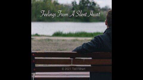 Feelings From A Silent Heart Lyrics Video