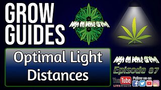 Optimal Light Distances for Cannabis Plants | Cannabis Grow Guides Episode 87