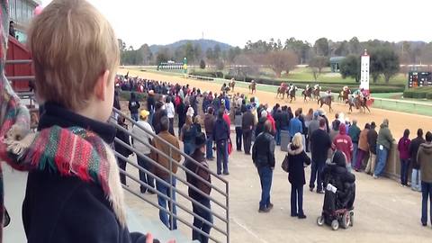 Little Boy Thinks It’s His Mom Fault That His Horses Lost In A Race