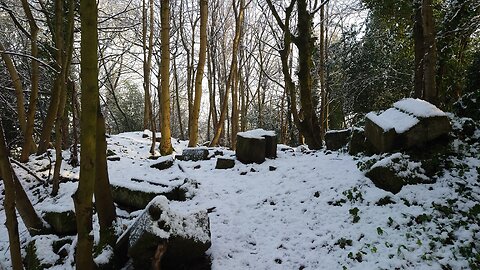 Winter Tour of The Milner Field House Ruins..