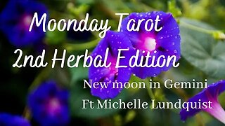 Moonday Tarot - New Moon in Gemini with Michelle Lundquist