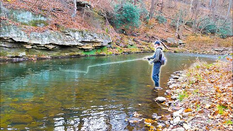 Streamer Fishing for Wild Brown Trout in an AMAZING River!