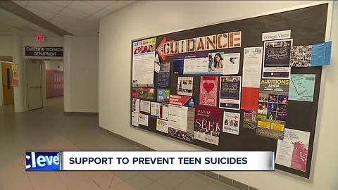 Proposed tax levy in Stark Co. could bring on more school counselors after string of teen suicides