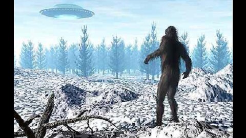 Super Amazing Bigfoot Encounters