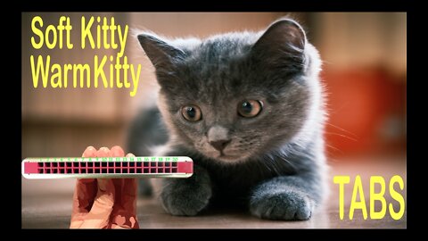 Harmonica TABS for Soft Kitty Warm Kitty on a Tremolo Harmonica with 20 Holes