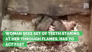 Woman Sees Set of Teeth Staring at Her Through Flames, Has to Act Fast