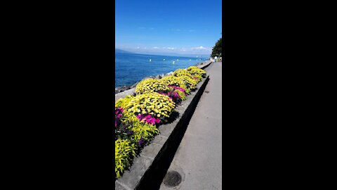 Walking in the lake in Switzerland summer 2020